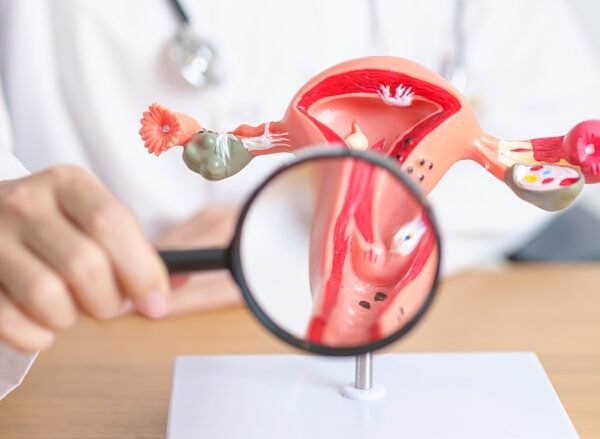 Doctor,With,Uterus,And,Ovaries,Anatomy,Model,And,Magnifying,Glass.